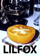 Tomato Milk