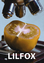 Tomato Milk